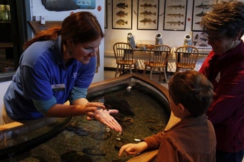A youngster meets up with a crayfish in the Wet Lab at the National Mississippi River Museum & Aquarium in Dubuque, IA.