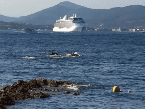 Seven Seas Explorer anchored off Saint Tropez France